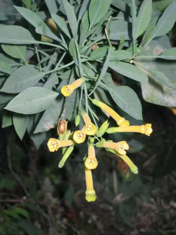 Photo: Coleen Mannheimer