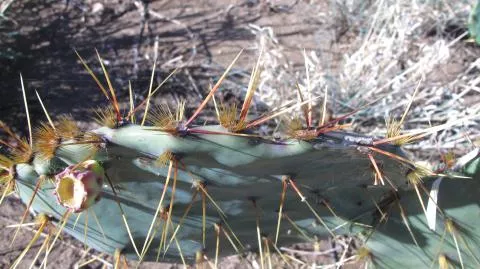 Photo: Coleen Mannheimer