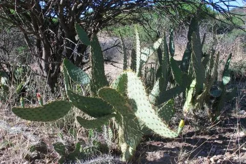 Photo: Coleen Mannheimer