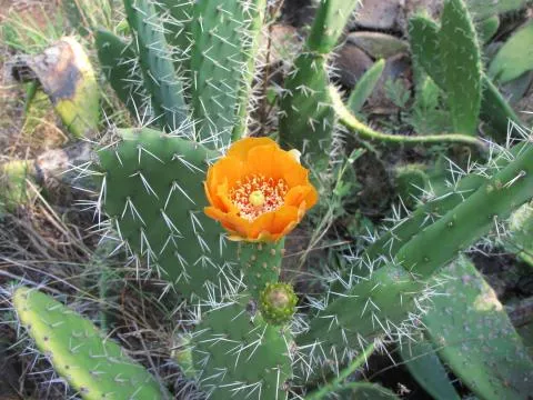 Photo: Coleen Mannheimer