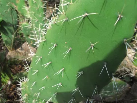 Photo: Coleen Mannheimer