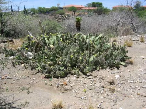 Photo: Coleen Mannheimer