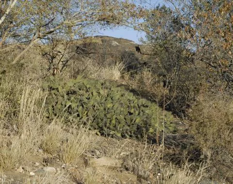 Photo: Coleen Mannheimer