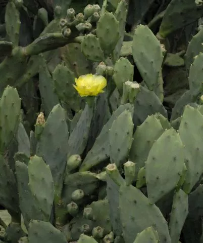 Photo: Coleen Mannheimer