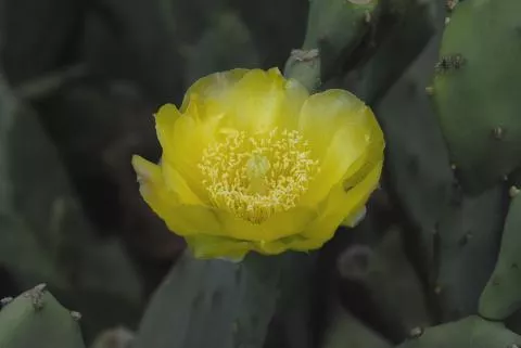 Photo: Coleen Mannheimer