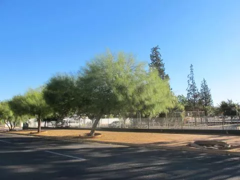 Photo: Coleen Mannheimer