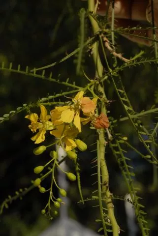 Photo: Coleen Mannheimer