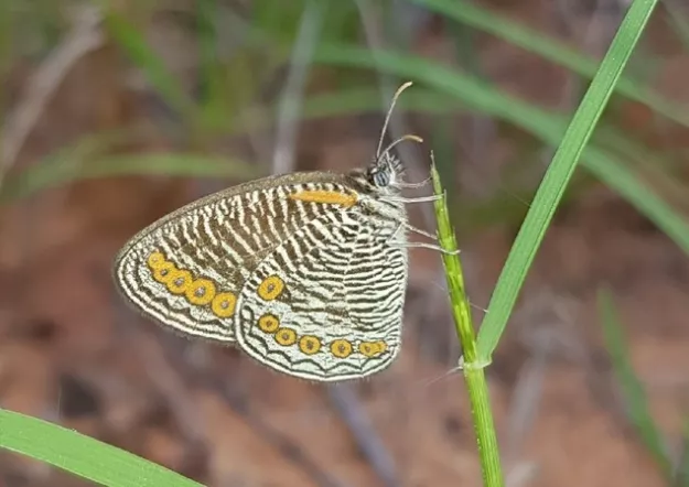 Photo: Alex Singleton