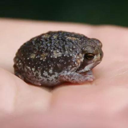 Photo: Peter Cunningham