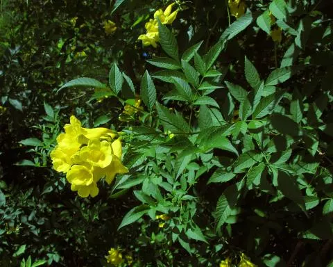 Photo: Coleen Mannheimer