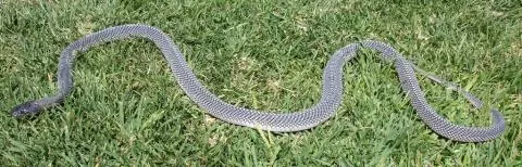 Photo: Francois Theart