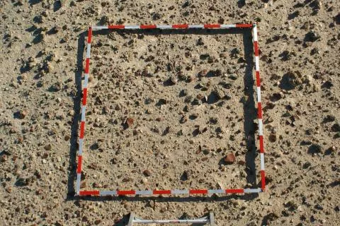 A dense scatter of late Pleistocene artefact debris © Photo: J. Kinahan