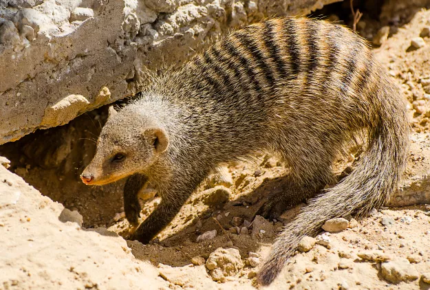 Photo: Morgan Hauptfleisch