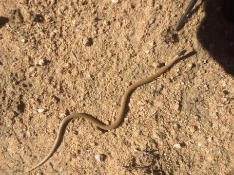 Photo: Lizelle Van Der Waal