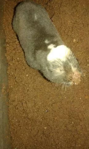 Photo: Corné van der Merwe