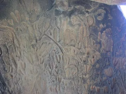 Engraved antelope spoor © Photo: J. Kinahan