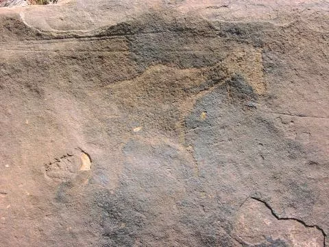 Engraved giraffe © Photo: J. Kinahan