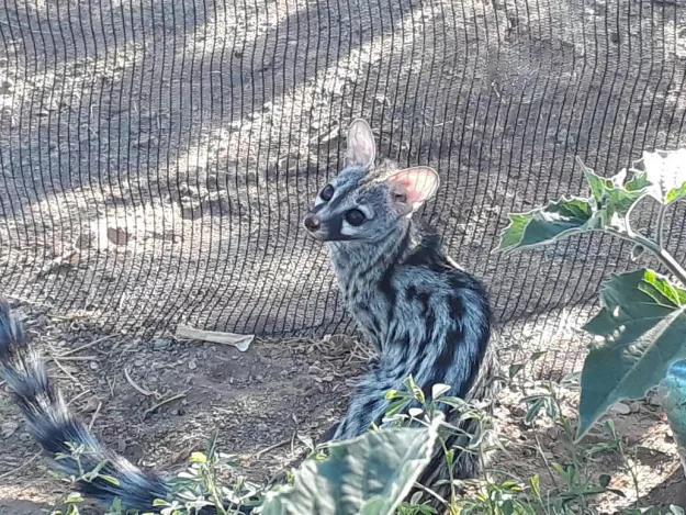 Photo: Peter Cunningham