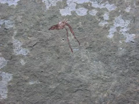 Painted monochrome giraffe head © Photo: J. Kinahan