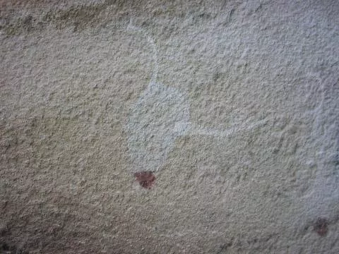 Painted ostrich white with dark brown tail © Photo: J. Kinahan