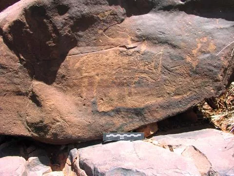 Engraved rhino © Photo: J. Kinahan