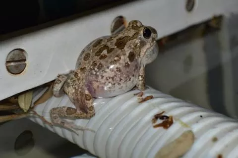 Photo: Francois Becker