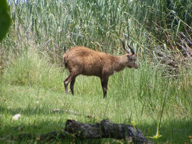 Photo: Matthew Walters