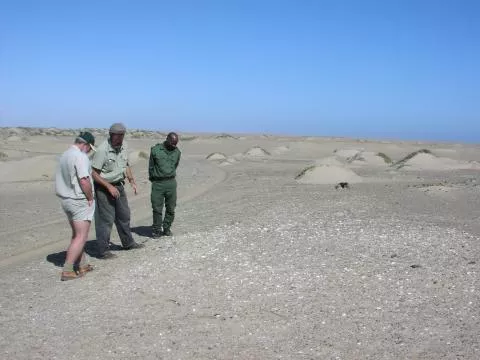 Typical small shell midden © Photo: J. Kinahan