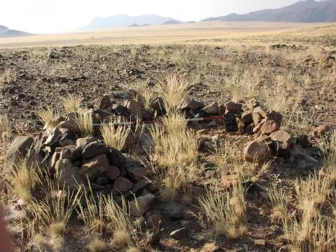 Windbreak © Photo: J. Kinahan