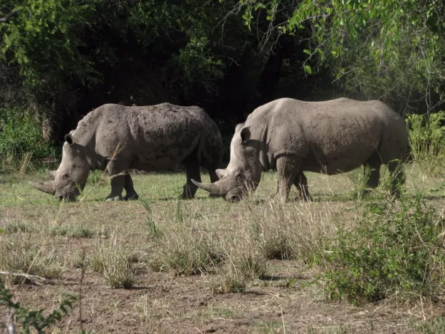 Photo: Sonja Schubert