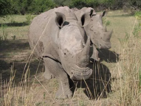 Photo: Sonja Schubert